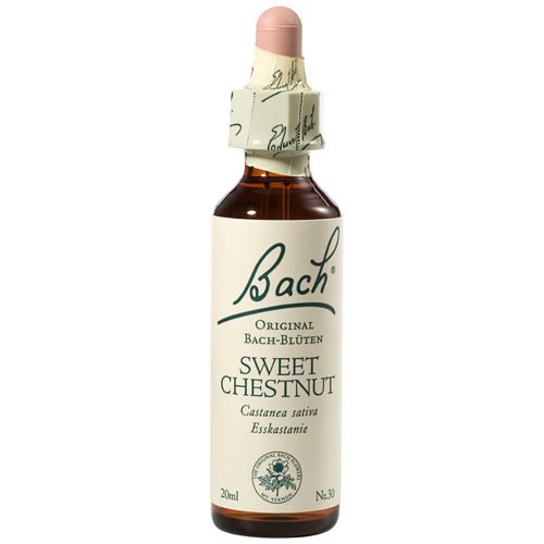 Bachblüten Nr. 30 Sweet Chestnut (20 ml)