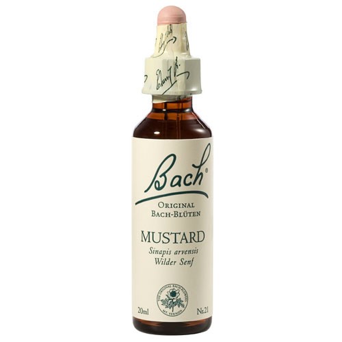 Bachblüten Nr. 21 Mustard (20 ml)